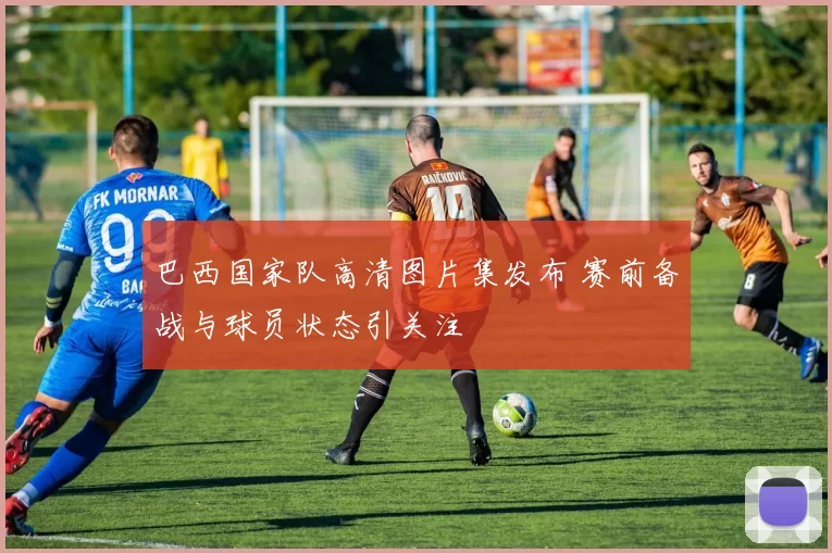 巴西国家队高清图片集发布 赛前备战与球员状态引关注