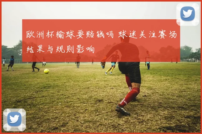 欧洲杯输球要赔钱吗 球迷关注赛场结果与规则影响
