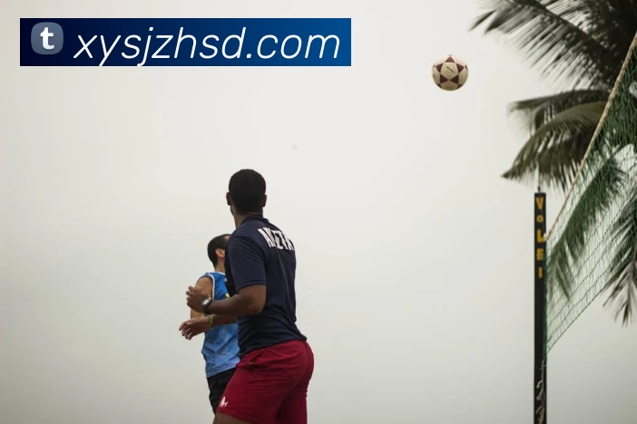 App Interface Preview